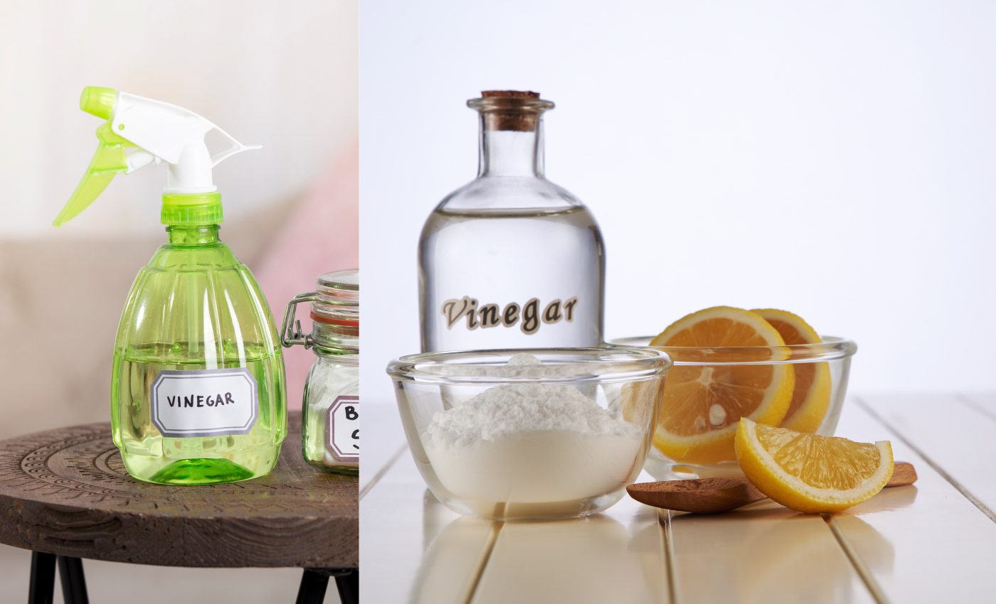 Difference Cleaning Vinegar and White Vinegar? Sparkling and Beyond