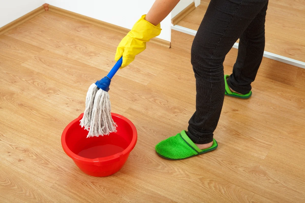 3 Best Commercial Cleaning Equipment for Workplace - Sparkling and Beyond